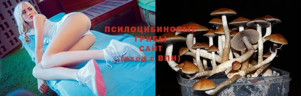 a pvp Волоколамск
