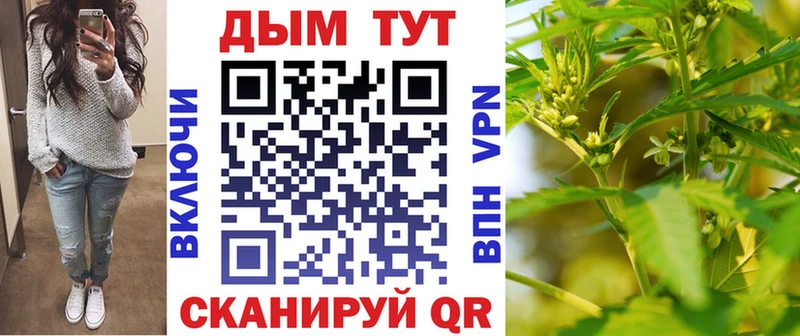 Купить где  Североуральск  Конопля семена 